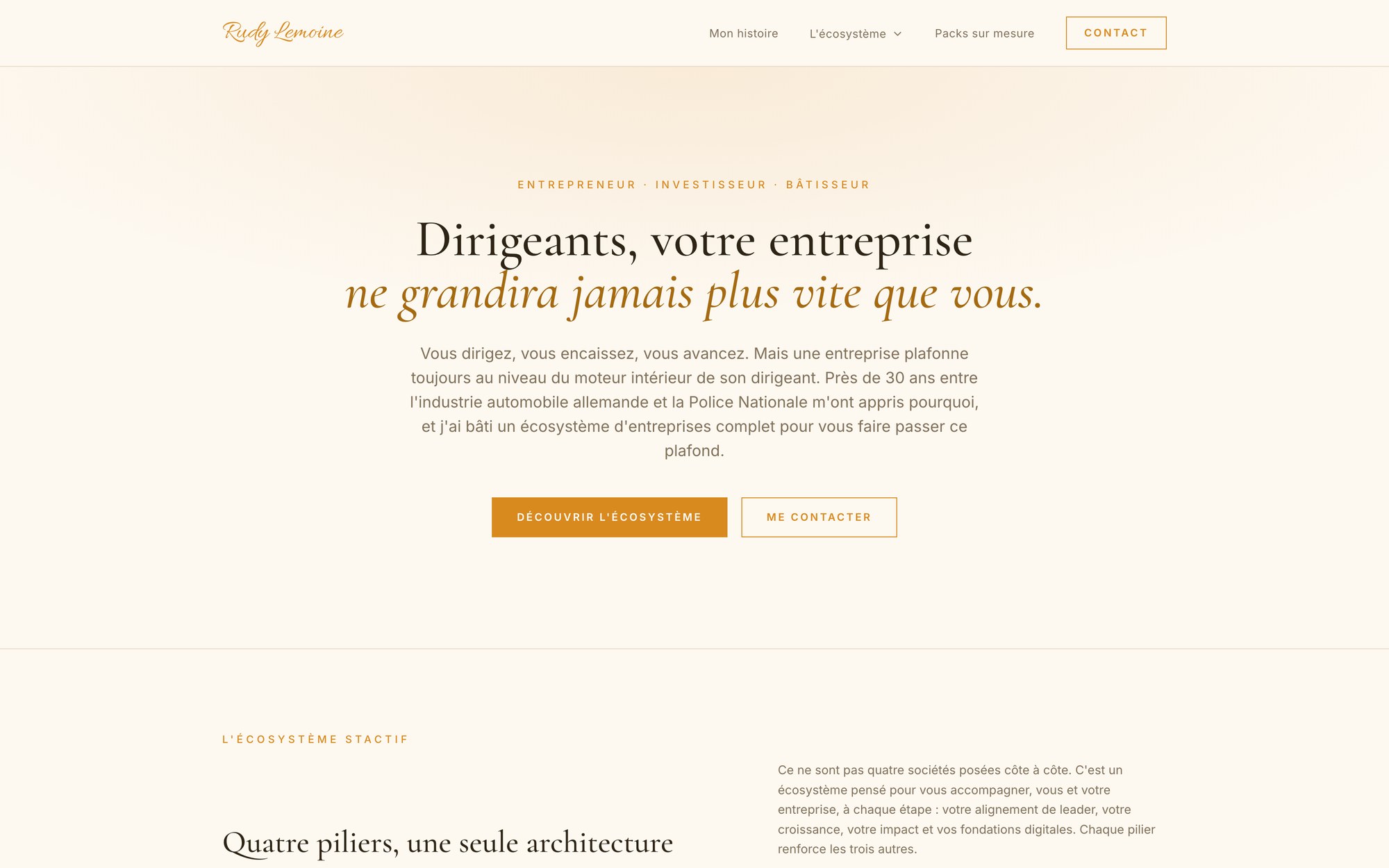 Aperçu du site Rudy Lemoine